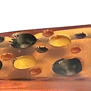 Applejuice Polka Dot Bakelite Dress Clip